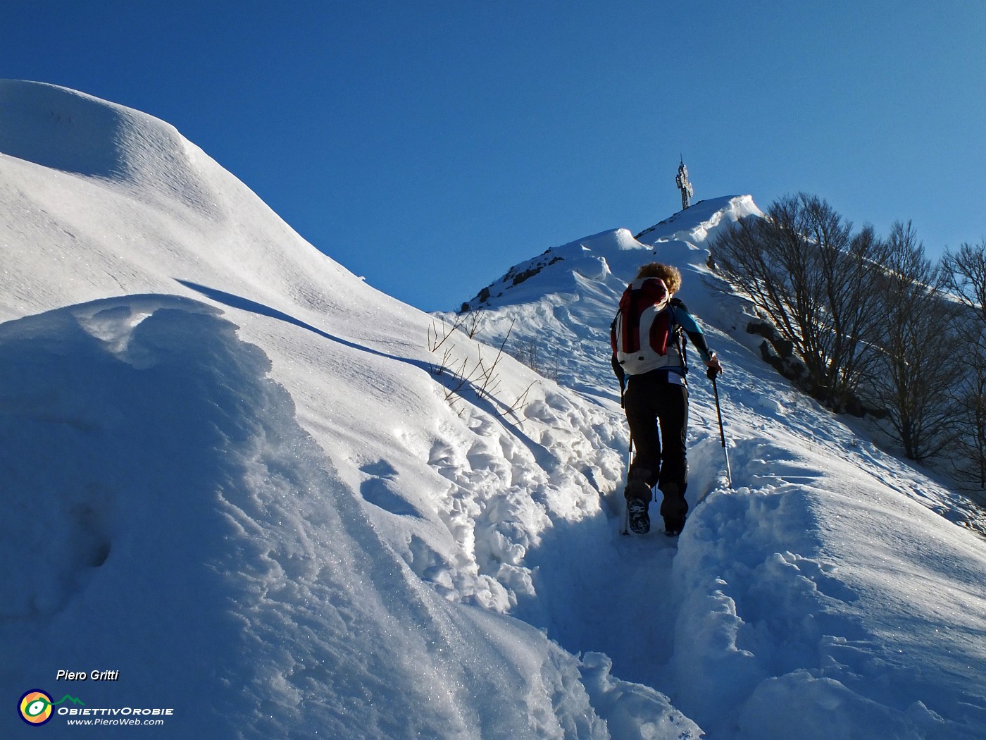 84 Salendo la cresta nord  del Cornizzolo.JPG